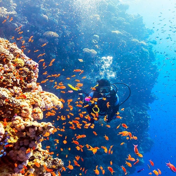 Hikkaduwa 1 Hikkaduwa